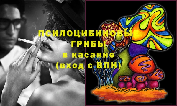 гидропоника Алексеевка
